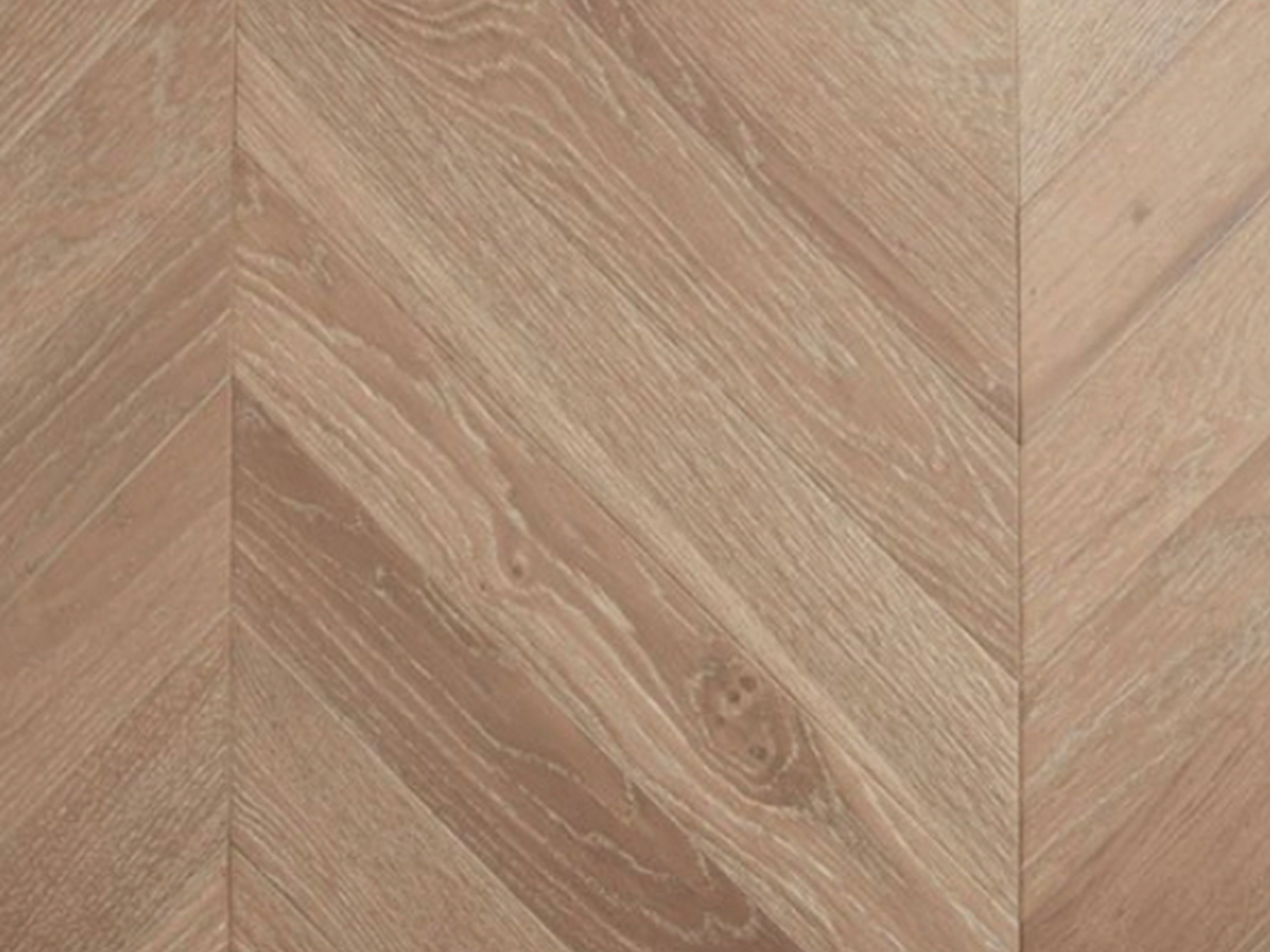 Demarque Oak - Image 2