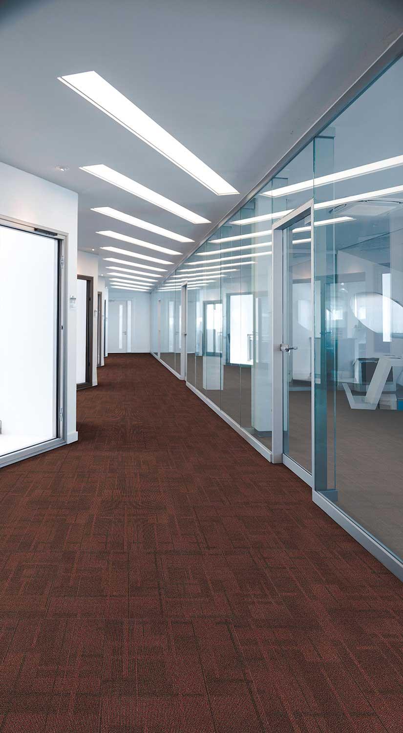 Dynamic Collection - Image 9