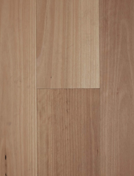 Brushed Blackbutt 180