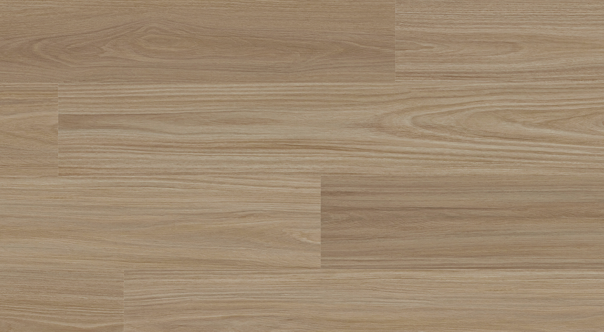 Antares Blackbutt - Image 4