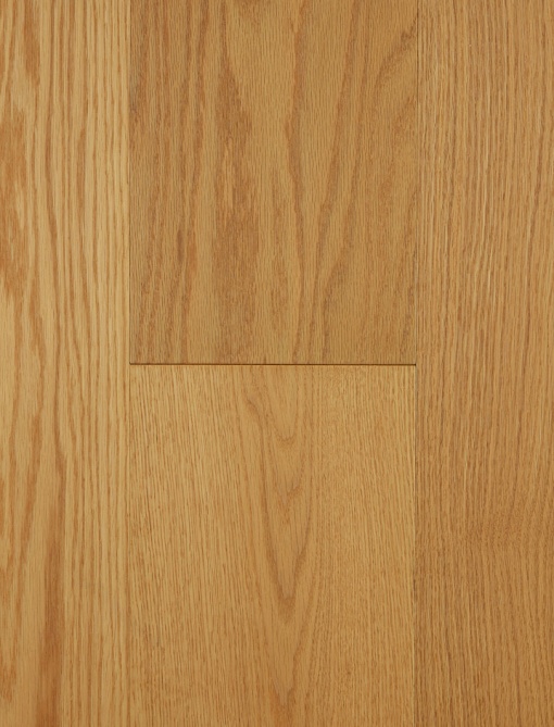 Forest Oak