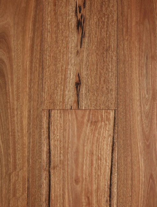 Fiddleback Australian Hardwood