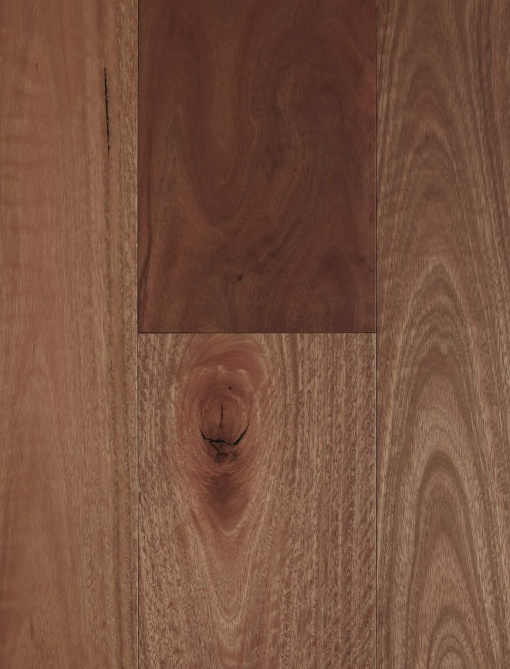 Brushed Spotted Gum 180