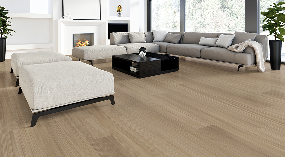 Antares Blackbutt