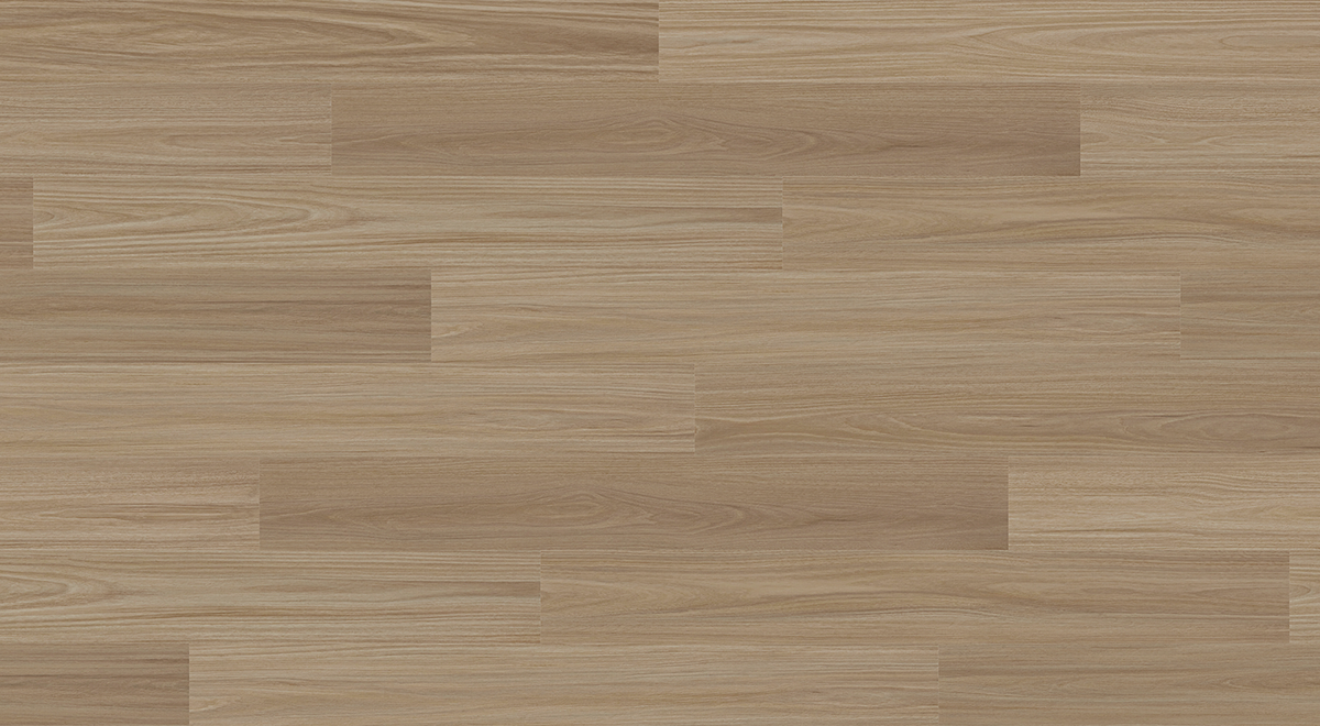 Antares Blackbutt - Image 3